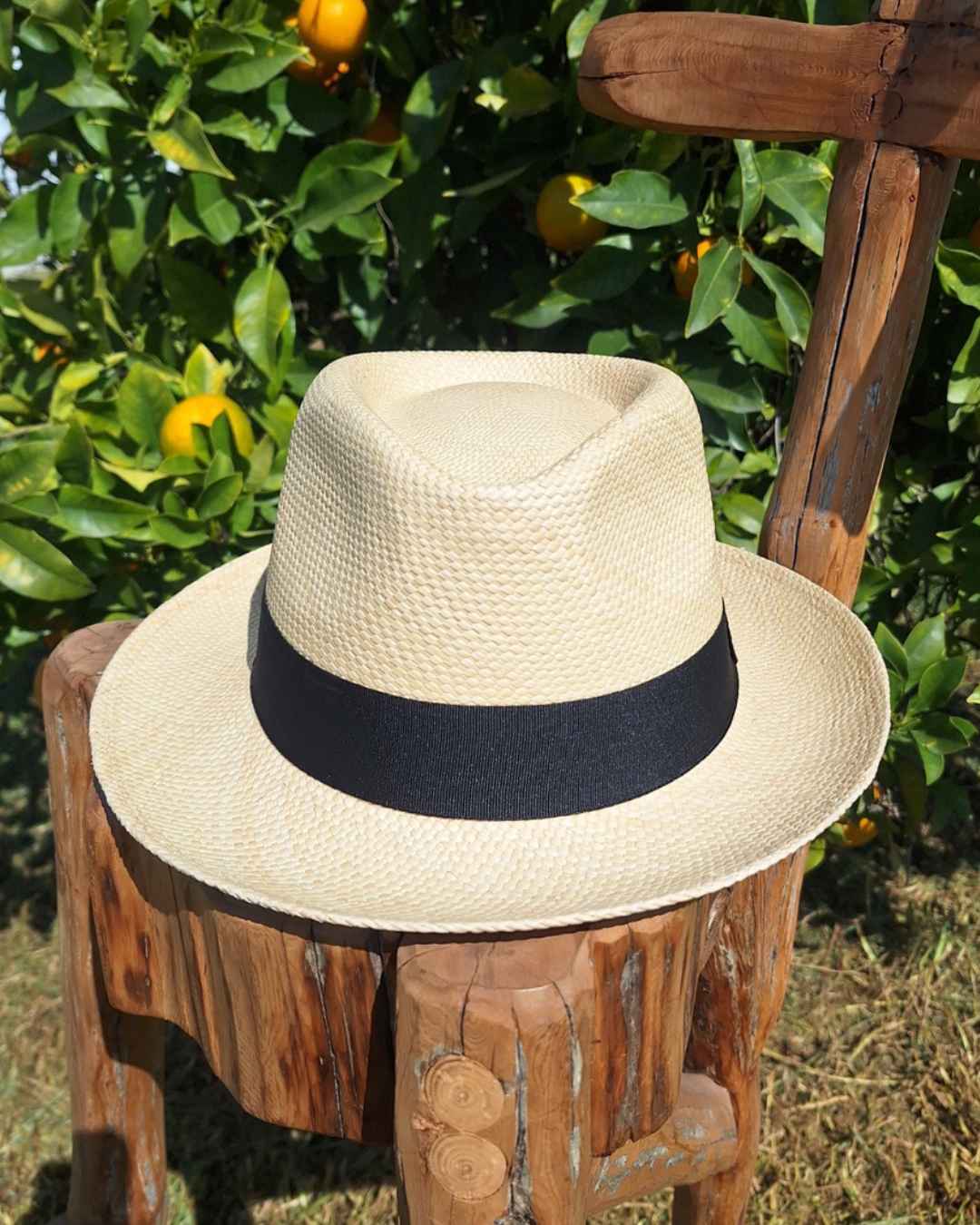 Sombrero Fedora | Paja Toquilla - Calafate Austral