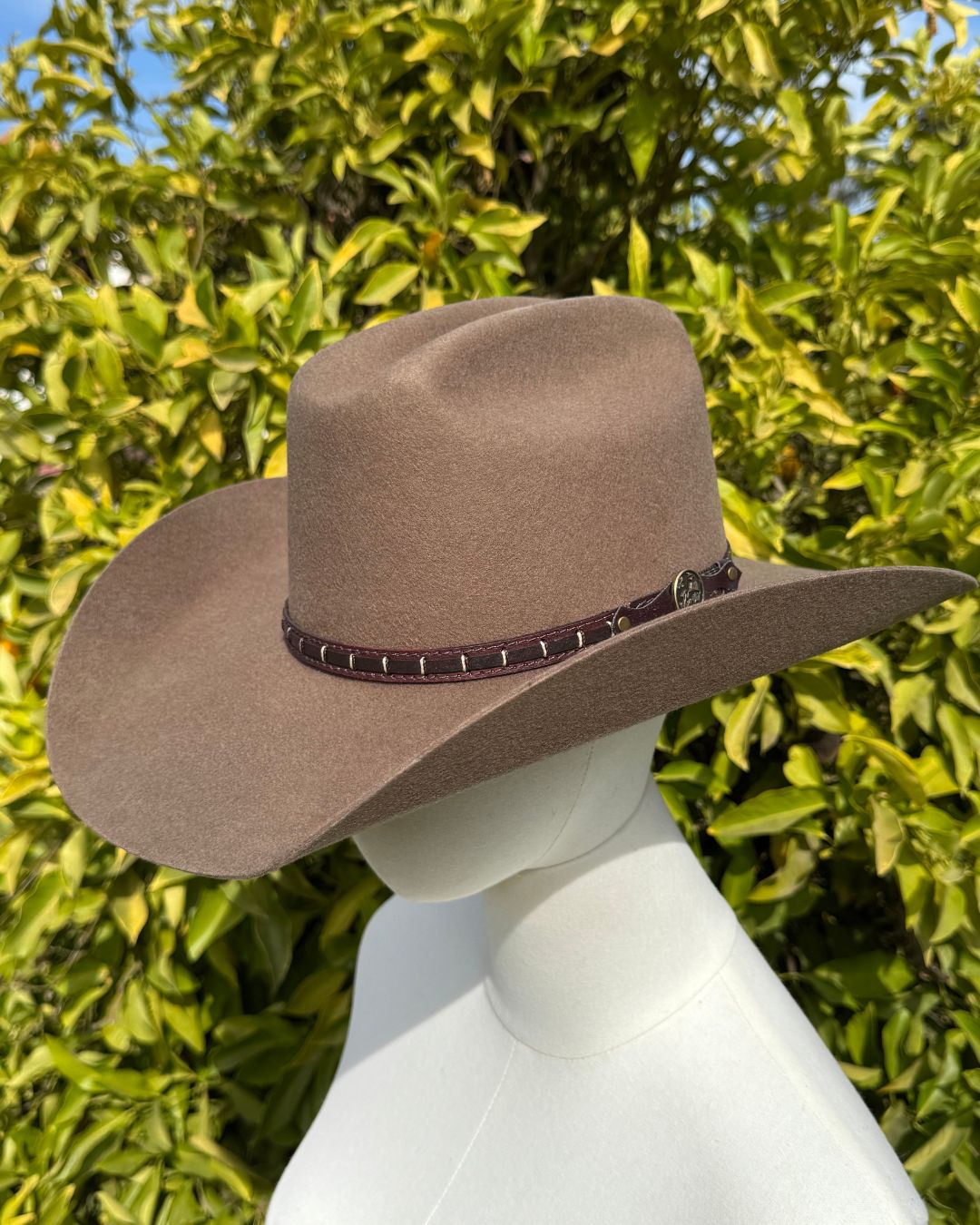 Sombrero Houston | Fieltro de Lana