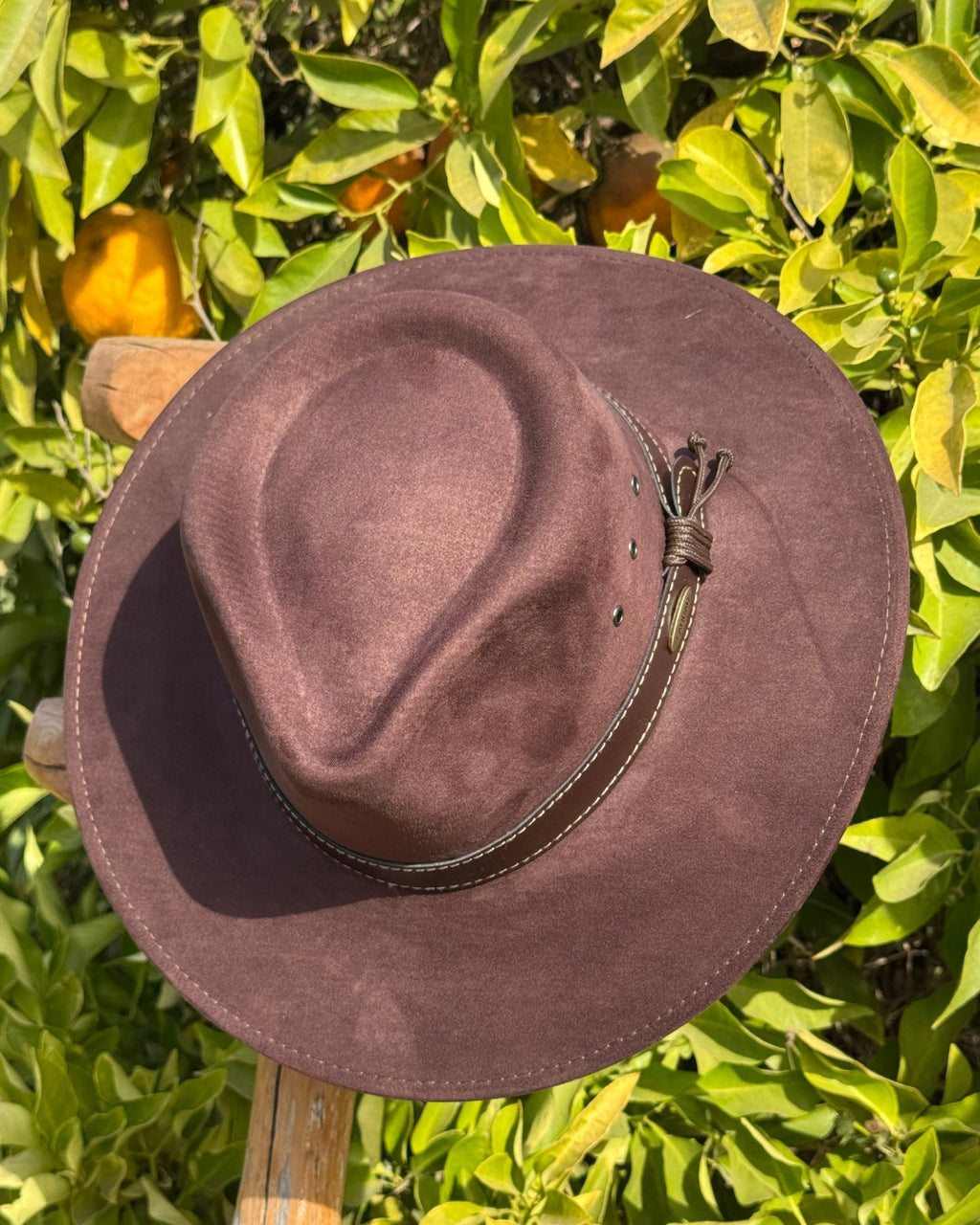 Sombrero Australiano | Gamuza
