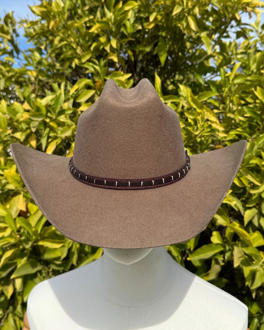 Sombrero Houston | Fieltro de Lana