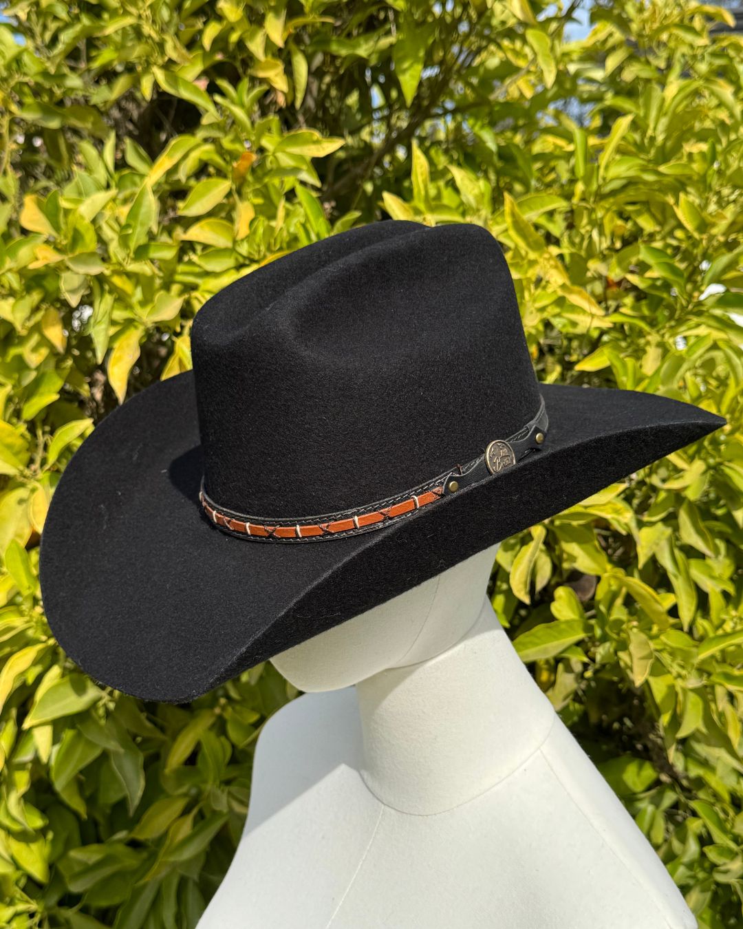 Sombrero Houston | Fieltro de Lana