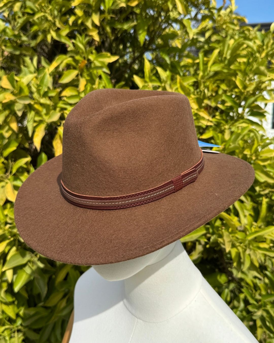 Sombrero Escapade | Lana