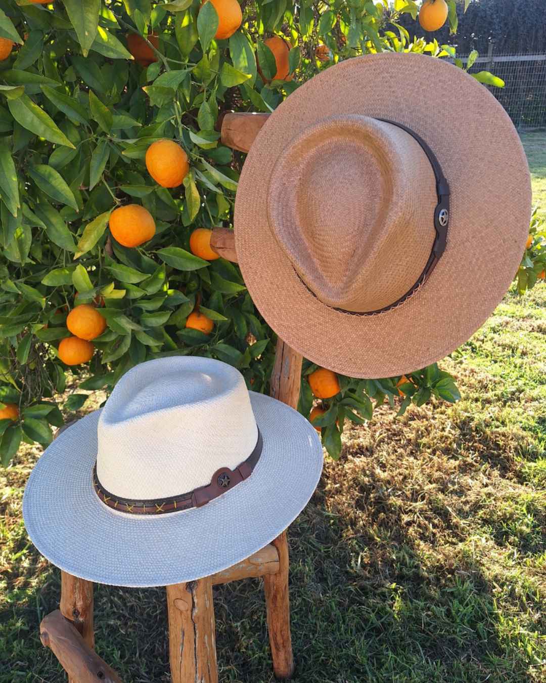 Sombreros Australianos de paja toquilla en colores Natural y Tostado