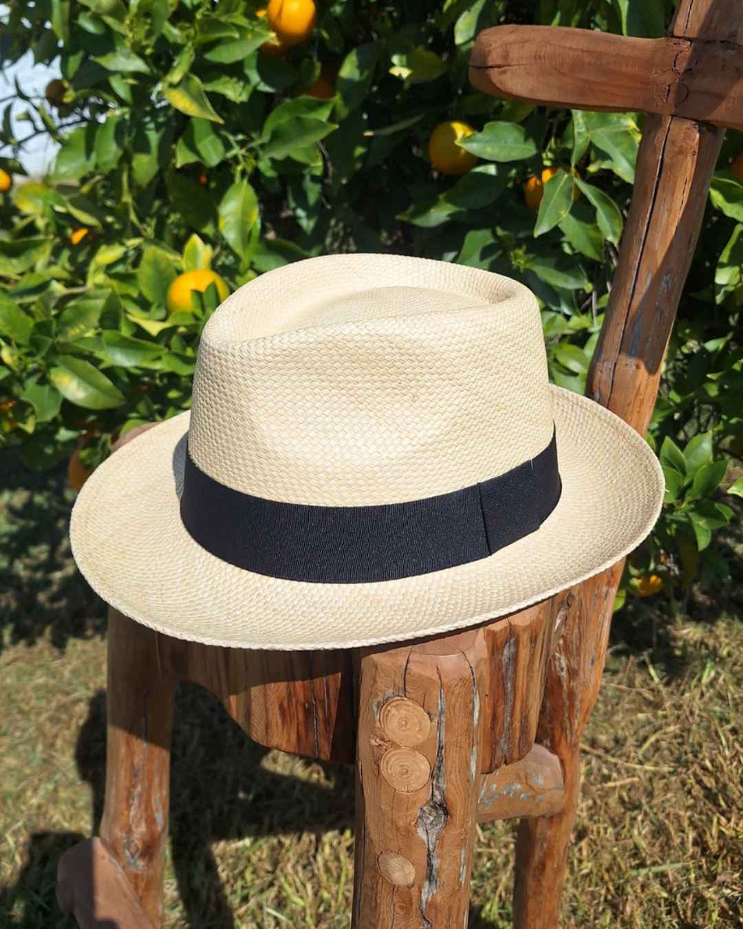 Sombrero Fedora | Paja Toquilla - Calafate Austral