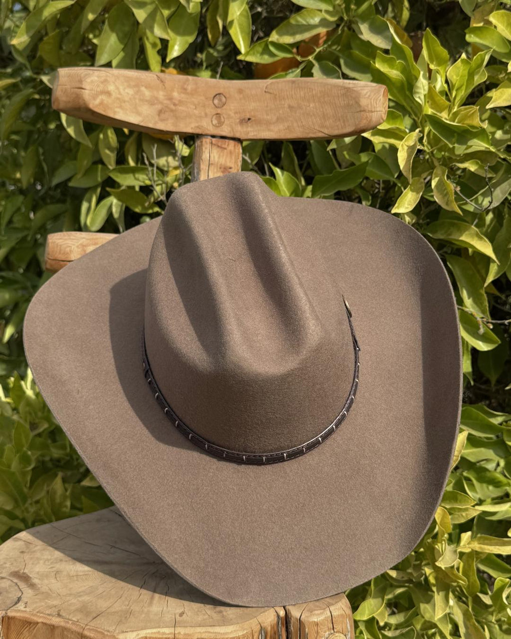 Detalle superior del Sombrero Houston beige de fieltro de lana