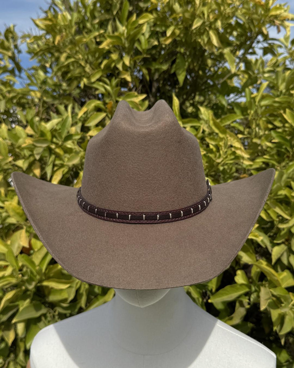 Sombrero Houston beige de lana con ala ancha vista frontal
