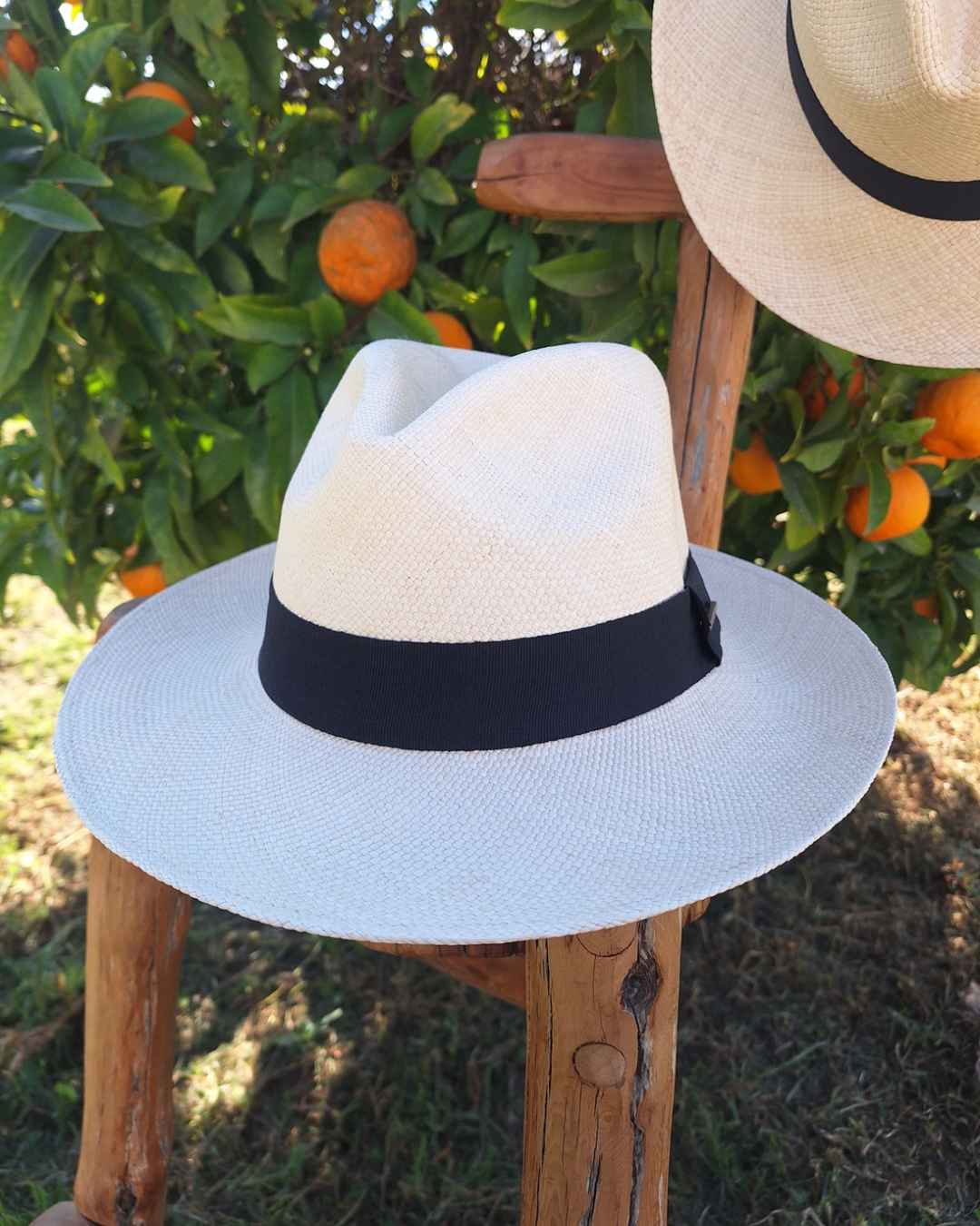 Sombrero Panamá Clásico | Paja Toquilla - Calafate Austral