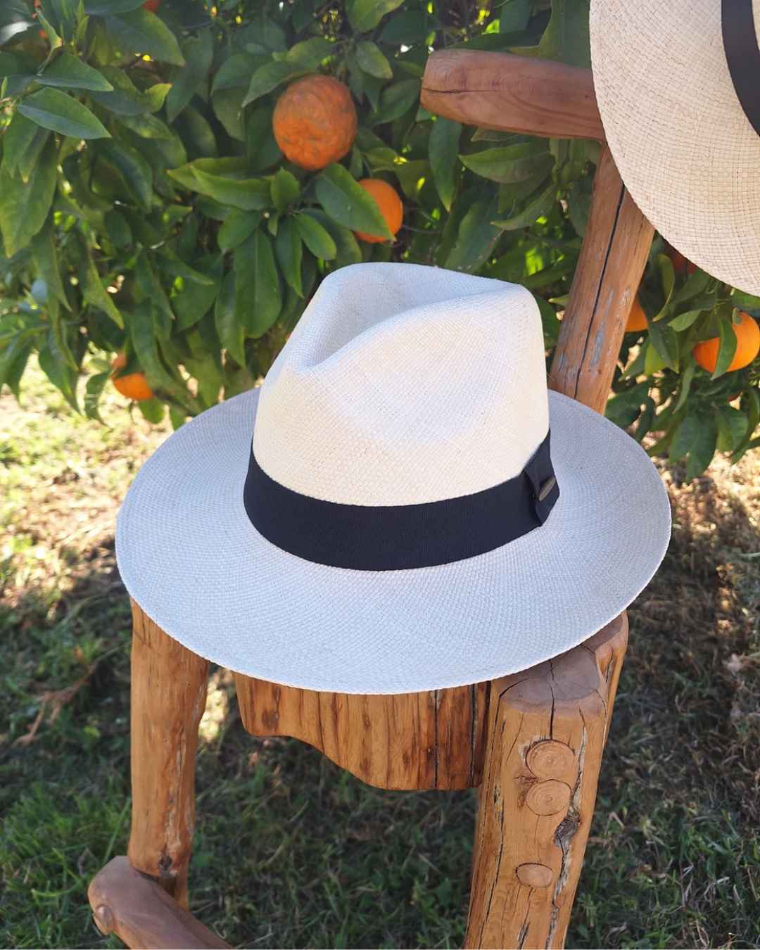 Sombrero Panamá Clásico | Paja Toquilla - Calafate Austral