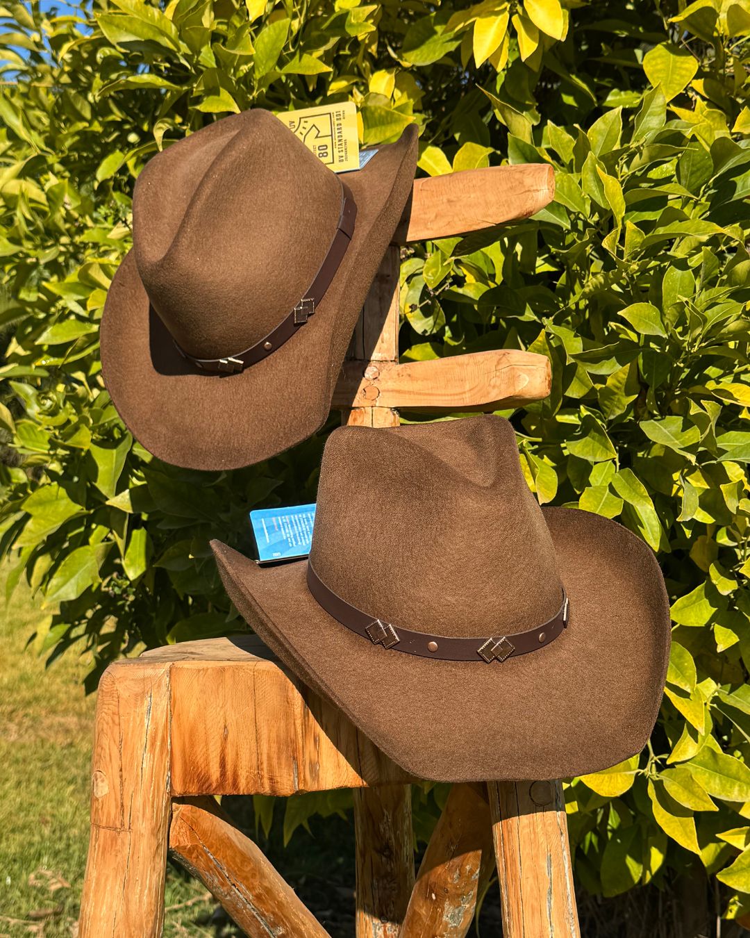 Sombrero Rustler | Fieltro de lana